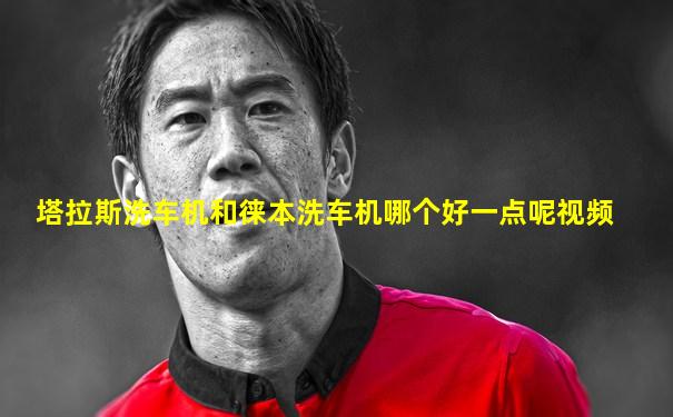 塔拉斯洗车机和徕本洗车机哪个好一点呢视频