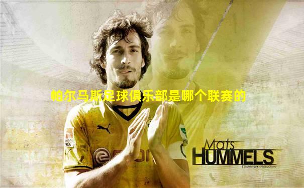 帕尔马斯足球俱乐部是哪个联赛的