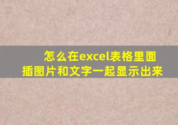 怎么在excel表格里面插图片和文字一起显示出来