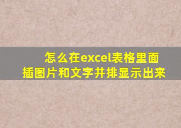 怎么在excel表格里面插图片和文字并排显示出来