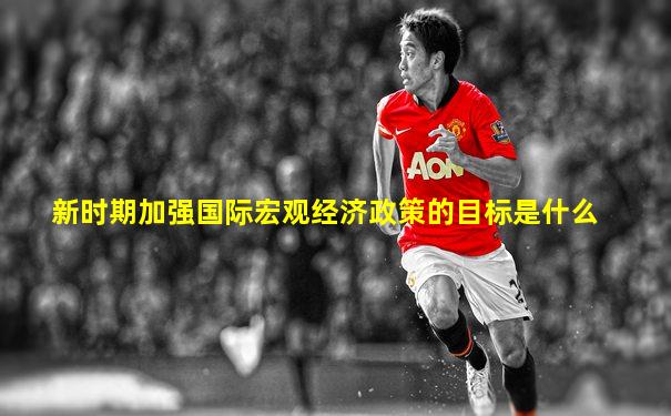 新时期加强国际宏观经济政策的目标是什么