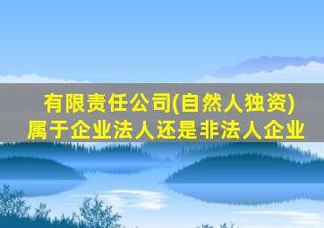 有限责任公司(自然人独资)属于企业法人还是非法人企业