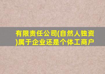 有限责任公司(自然人独资)属于企业还是个体工商户