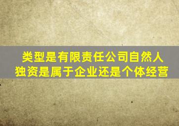 类型是有限责任公司自然人独资是属于企业还是个体经营