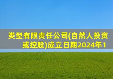 类型有限责任公司(自然人投资或控股)成立日期2024年1