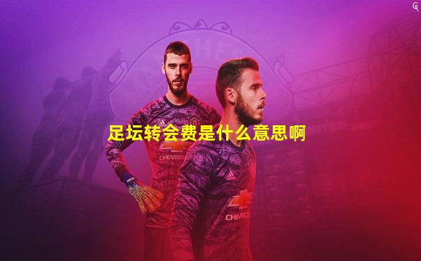 足坛转会费是什么意思啊