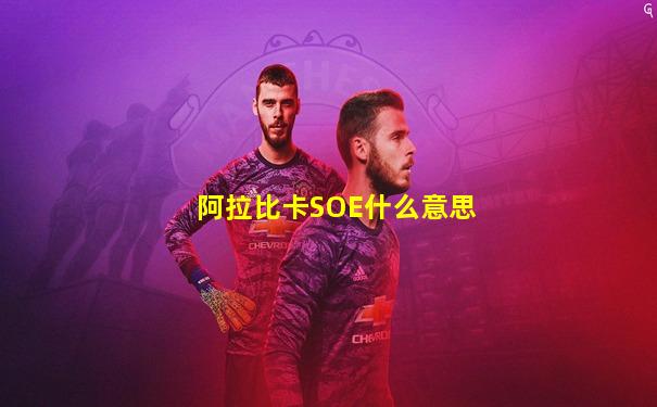 阿拉比卡SOE什么意思