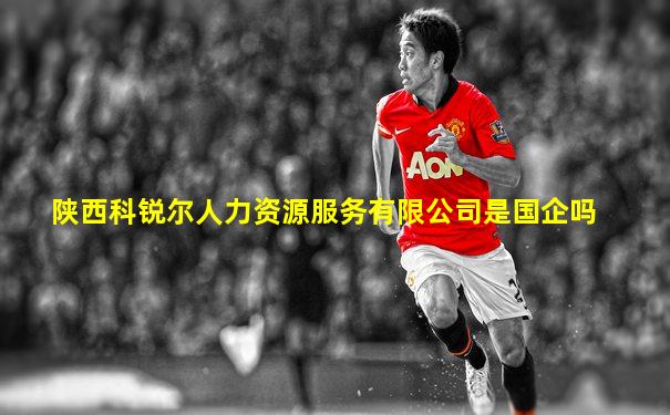 陕西科锐尔人力资源服务有限公司是国企吗